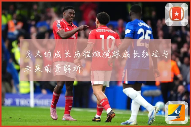 戈夫的成长历程橄榄球成长轨迹与未来前景解析