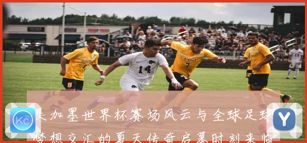 美加墨世界杯赛场风云与全球足球梦想交汇的夏天传奇启幕时刻来临