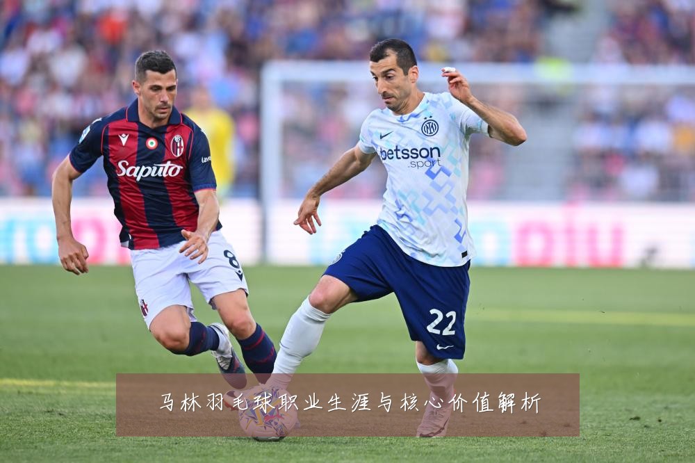 马林羽毛球职业生涯与核心价值解析
