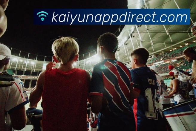 开云平台展示图