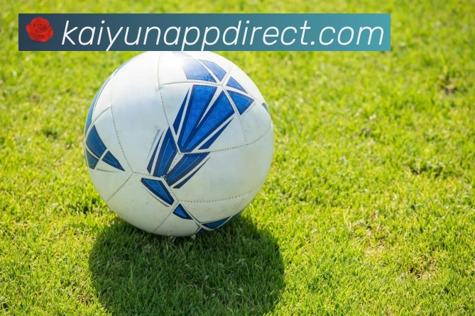 开云娱乐APP官方下载入口手机极速安装体验最新版本